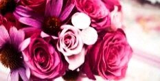 RYasminM's profile banner image