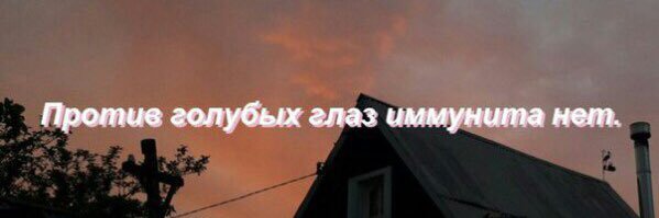 MSVikolini's profile banner image