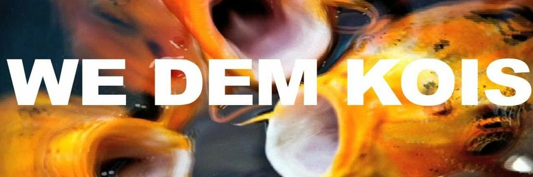 Aurene banner