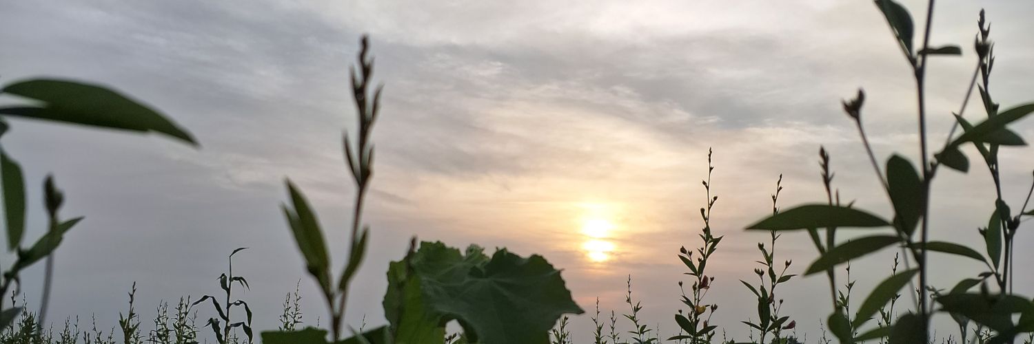 ShuddhiS's profile banner image