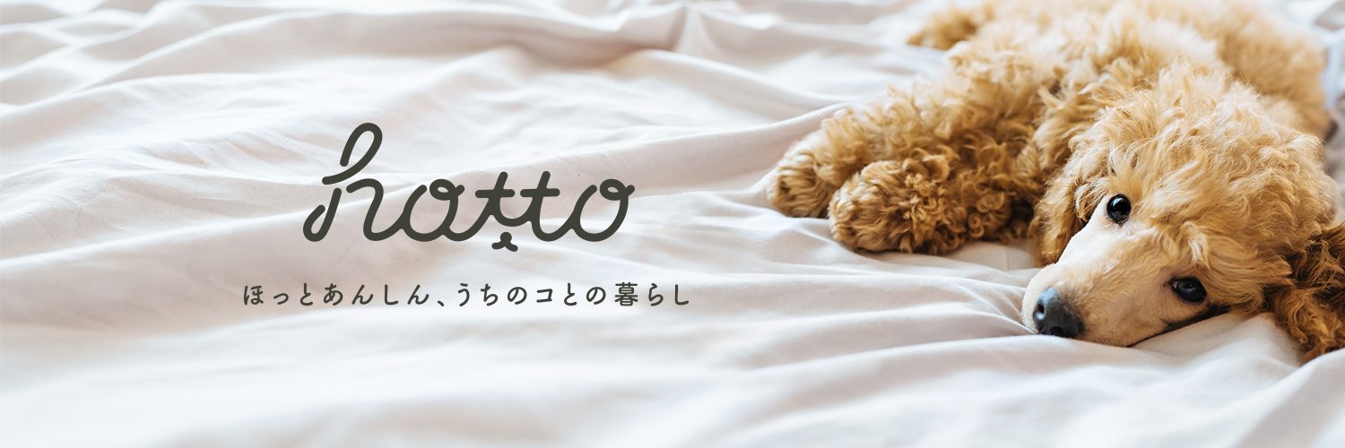 いぬ好き！@hotto Profile Banner