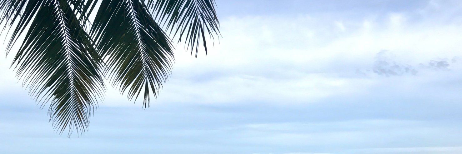 mongenie_'s profile banner image