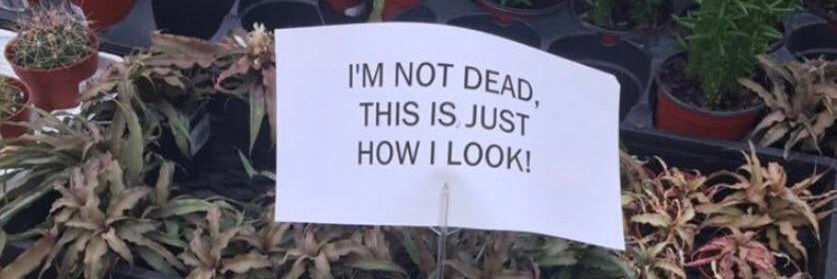 Roderic “the ☕️” Campbell banner