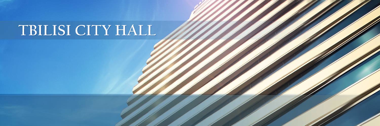 Tbilisi City Hall banner