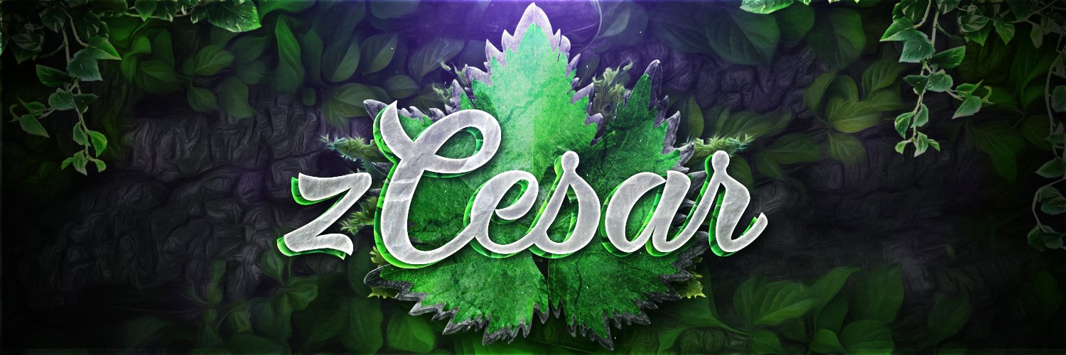 zCesxr's profile banner image