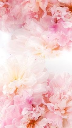 LadyAfriqa's profile banner image