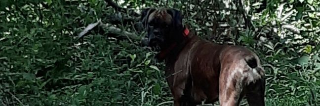 joenkeely1's profile banner image