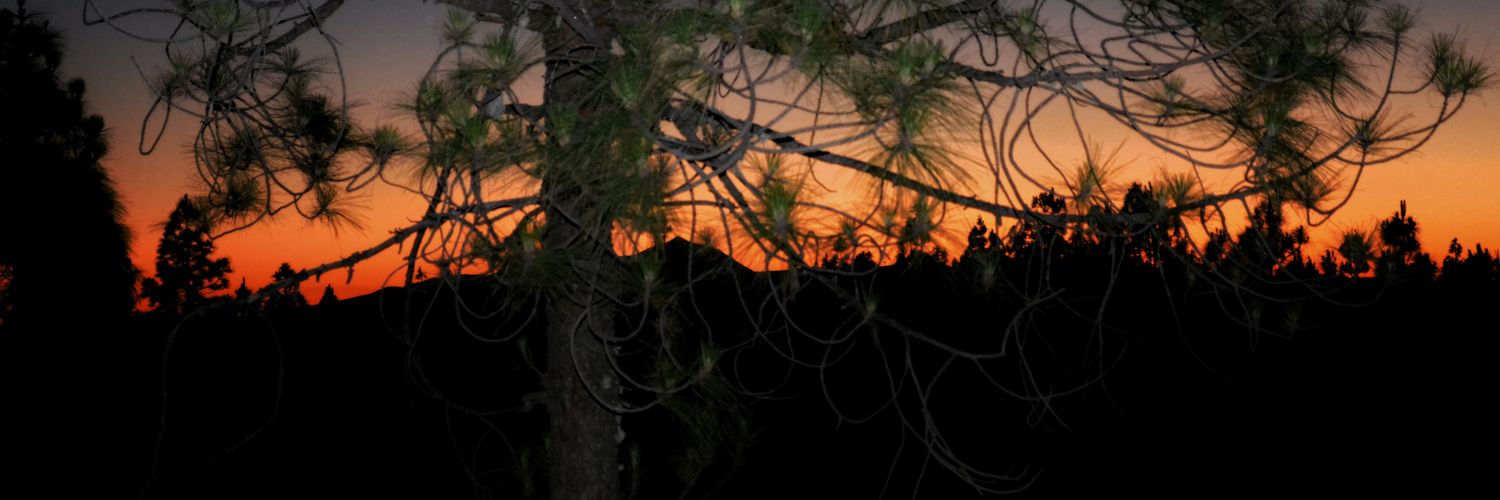 Dreaalvarez99's profile banner image