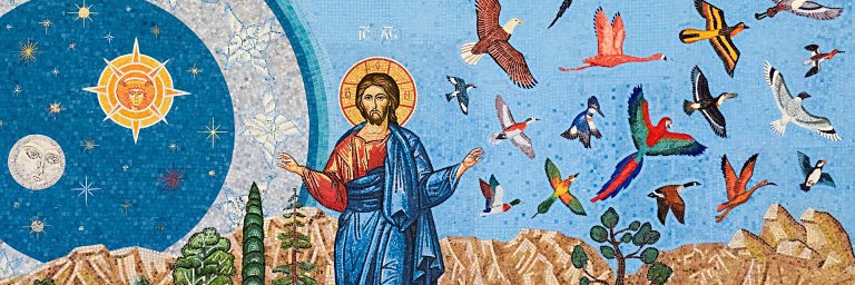 mwhumphrey's profile banner image