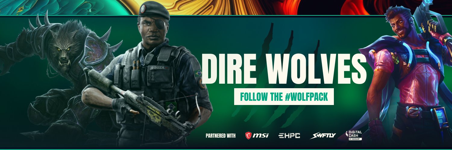 Dire Wolves banner