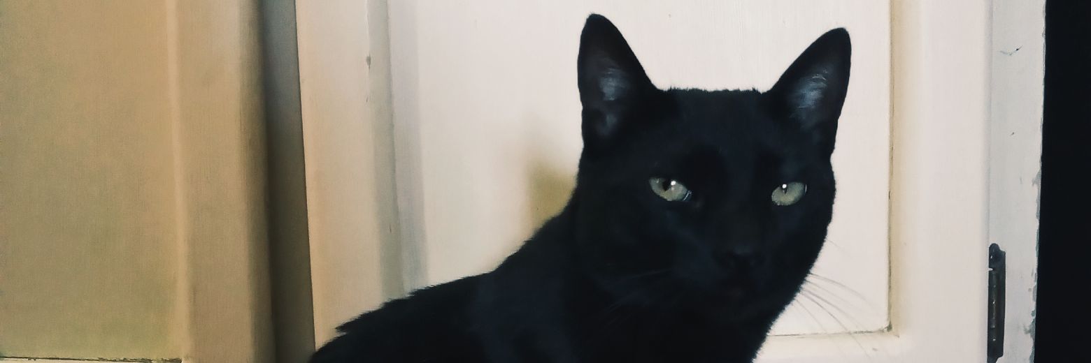 alexismnts's profile banner image