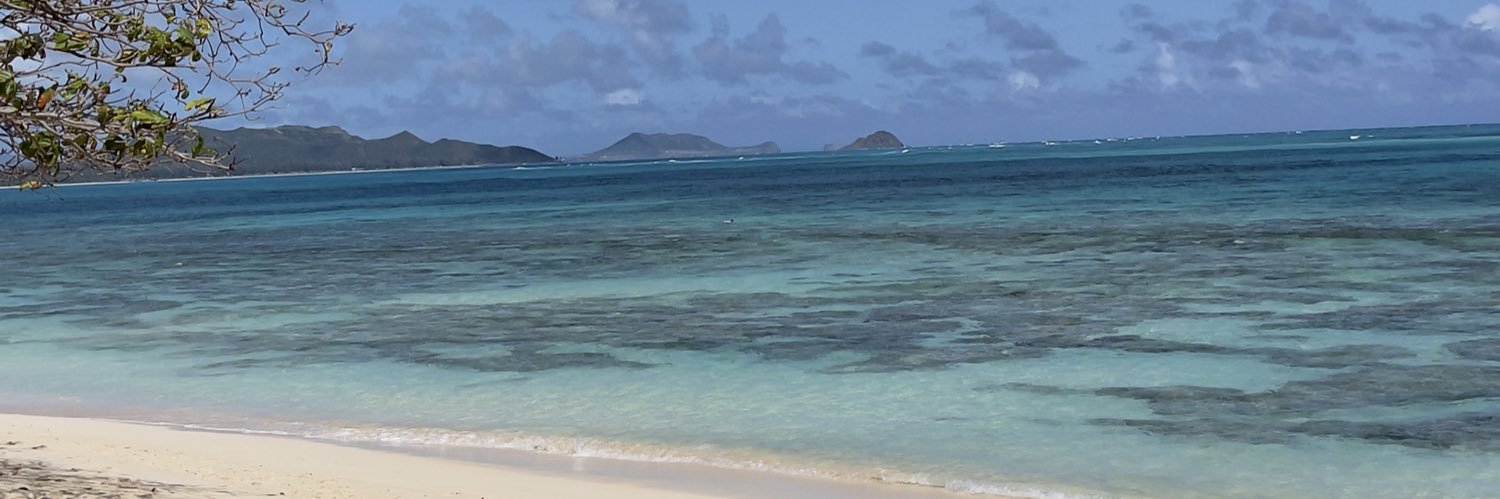 mjw808's profile banner image