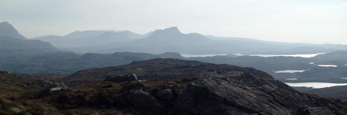 Alice Stainer banner