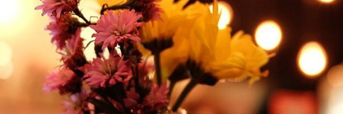 weedya_78's profile banner image