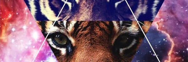 lovetoryv's profile banner image
