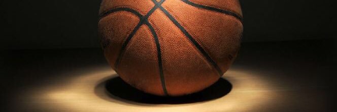 Giulio Guerriero banner