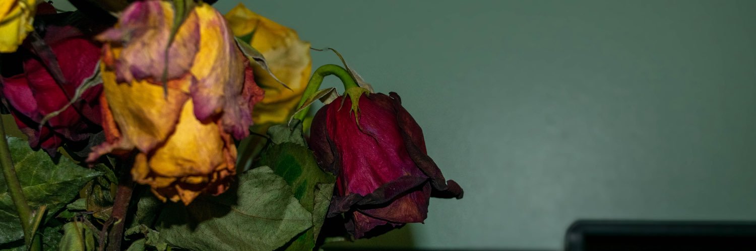 brea banner