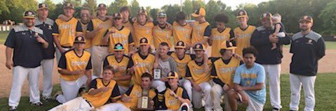 FCHS Flyers Baseball banner