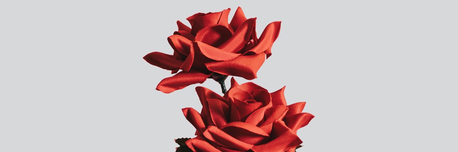 lfpekara9's profile banner image
