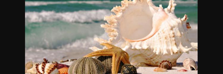 candietoosweet's profile banner image