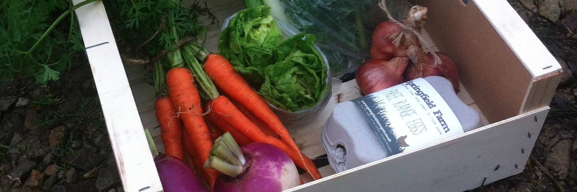 Springfield Farm banner