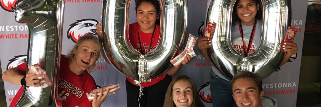 MWHS Student Senate banner