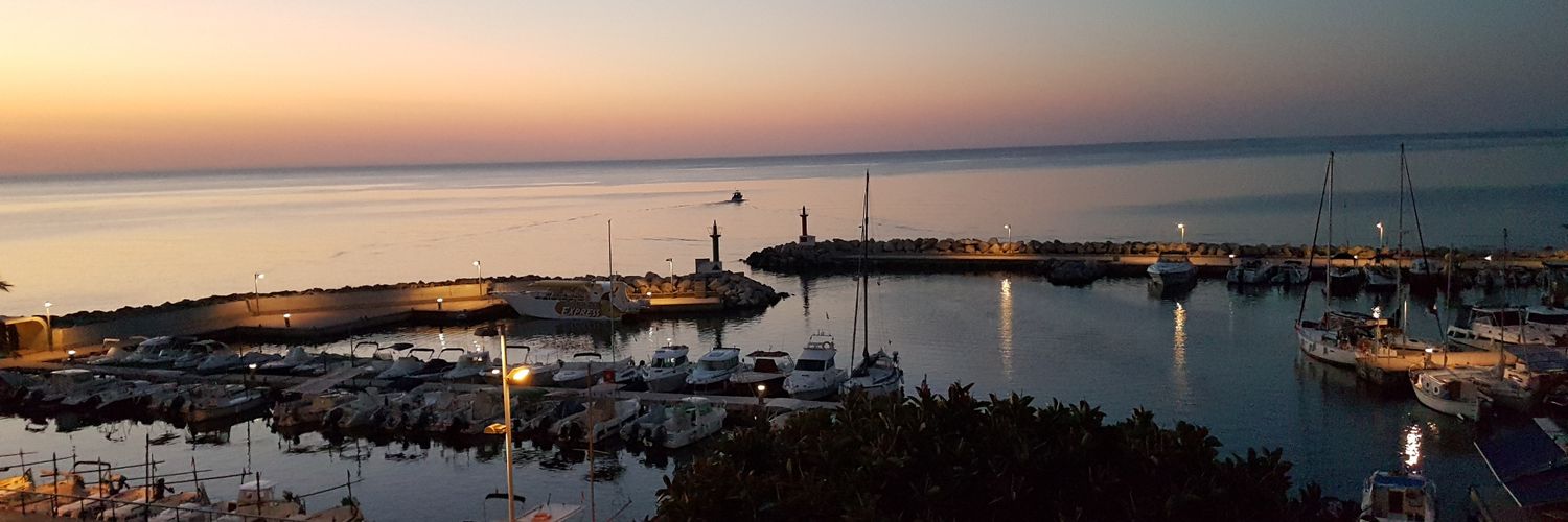 Wimpishpompano's profile banner image