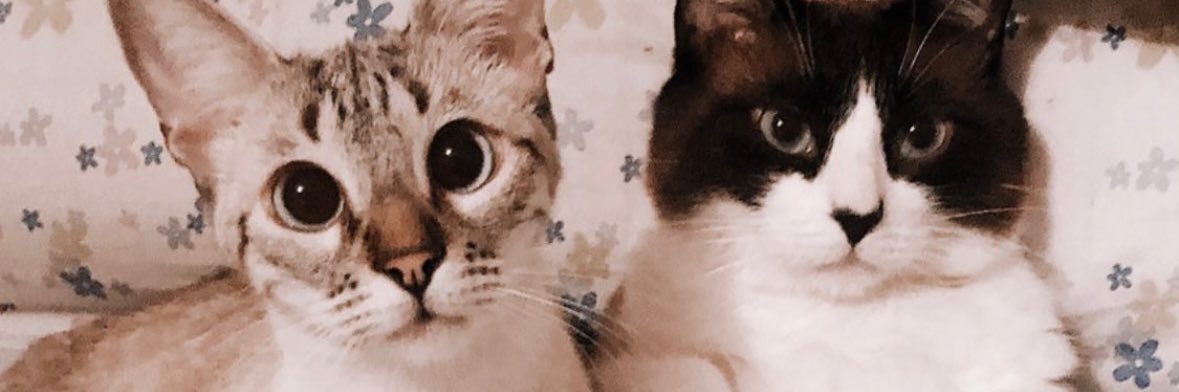 marinapacheco_1's profile banner image
