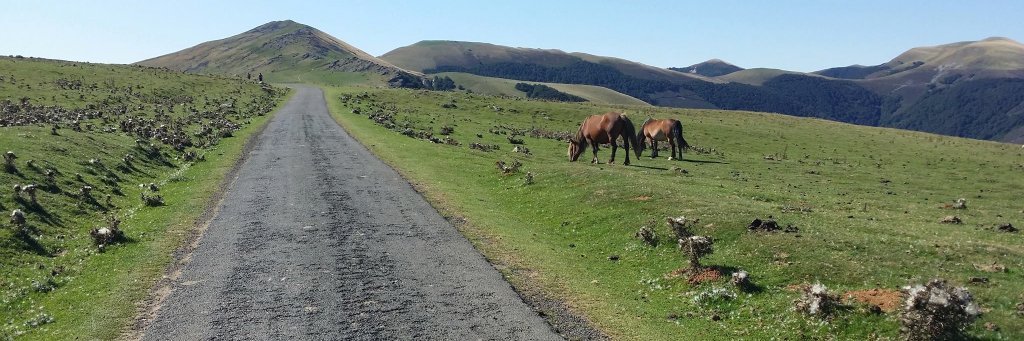 Domjuan Courtleciel banner