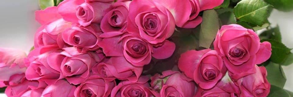 عاشق سهر الليل banner