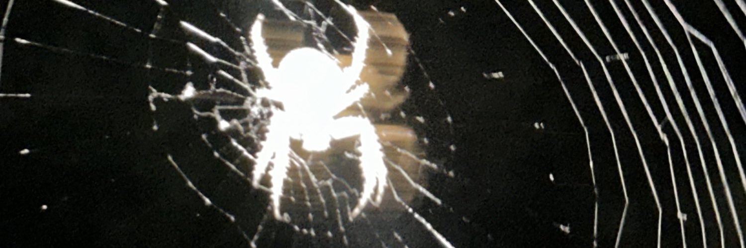 1SLAXO's profile banner image