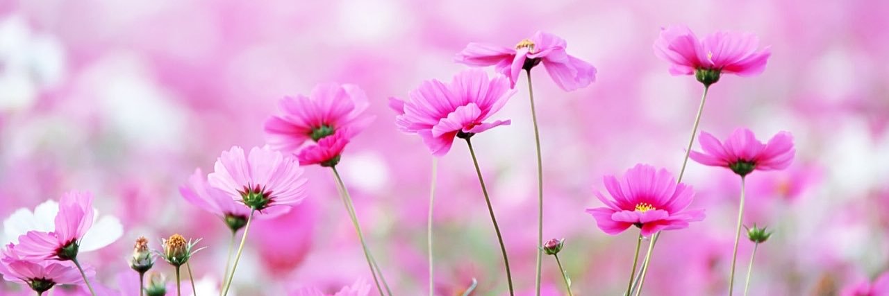 Hendrieth's profile banner image