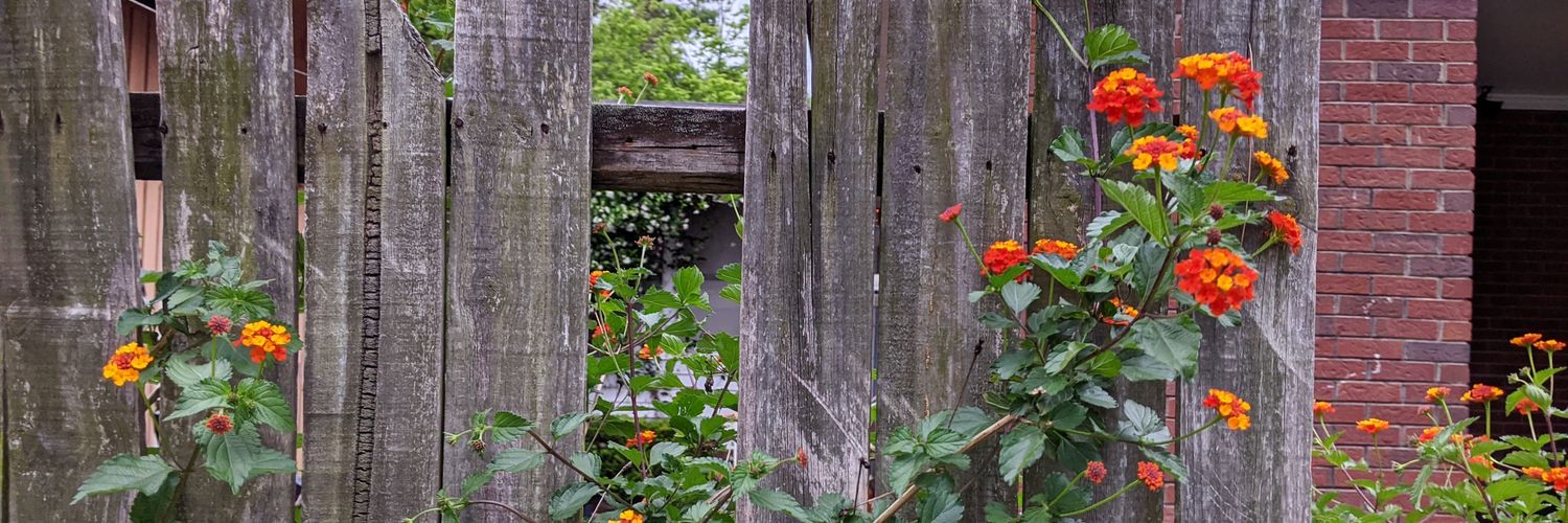 H_Ronaldson's profile banner image