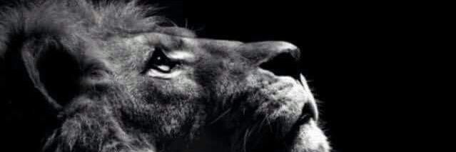 bacheikhtidiane's profile banner image