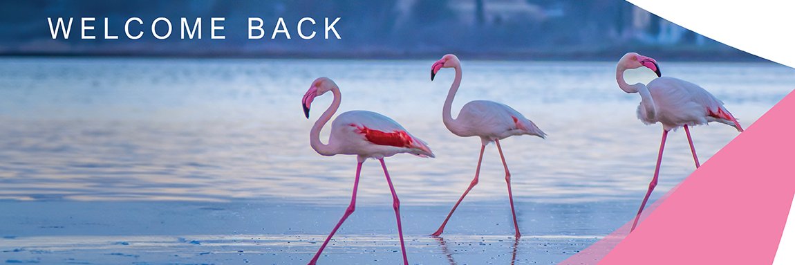 Larnaka Tourism banner