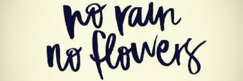 Ms_Oostendorp's profile banner image