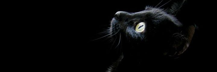 barbarapln27's profile banner image