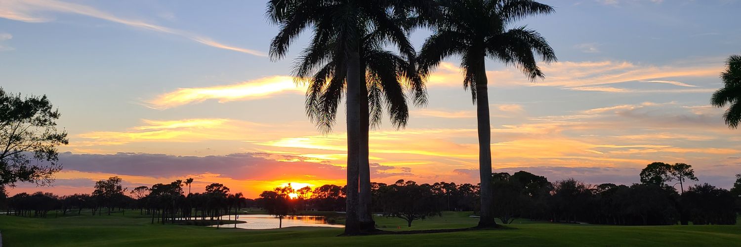 PalmBeachPR's profile banner image