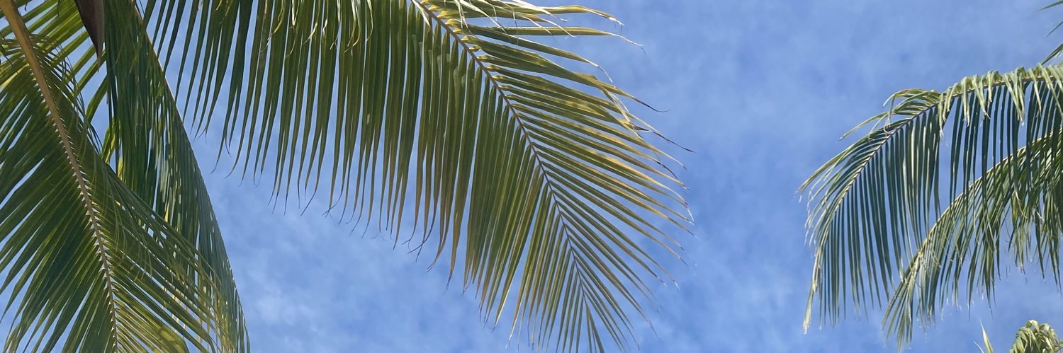 hollgriffinx's profile banner image