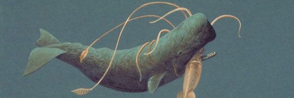 Uncle Cole 🇺🇦 banner