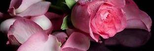 marouaz6's profile banner image