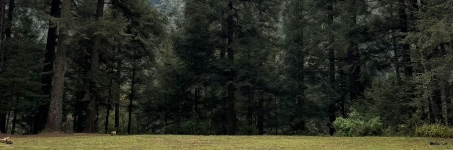 eemmppbb's profile banner image