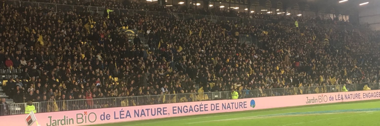 TheUglyDuckling ⭐️⭐️🤩 banner