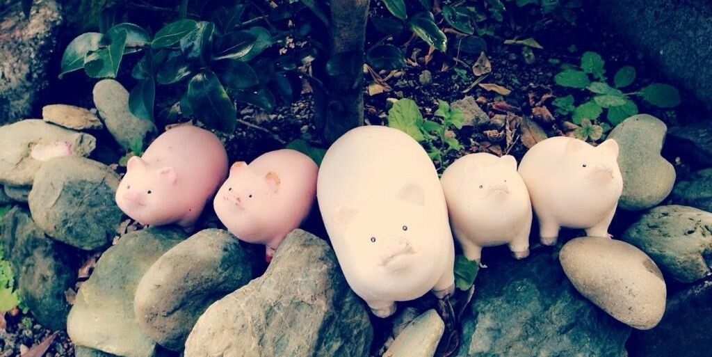 tr_hihi's profile banner image