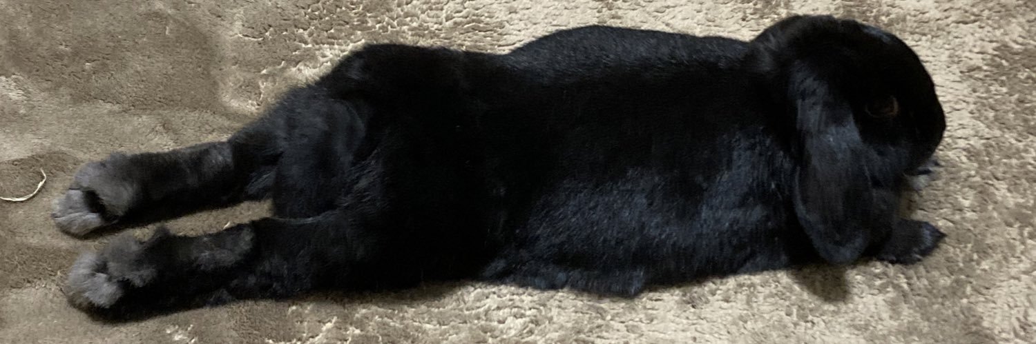mow_rabbit's profile banner image