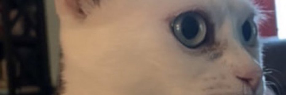 KatsumiPH's profile banner image