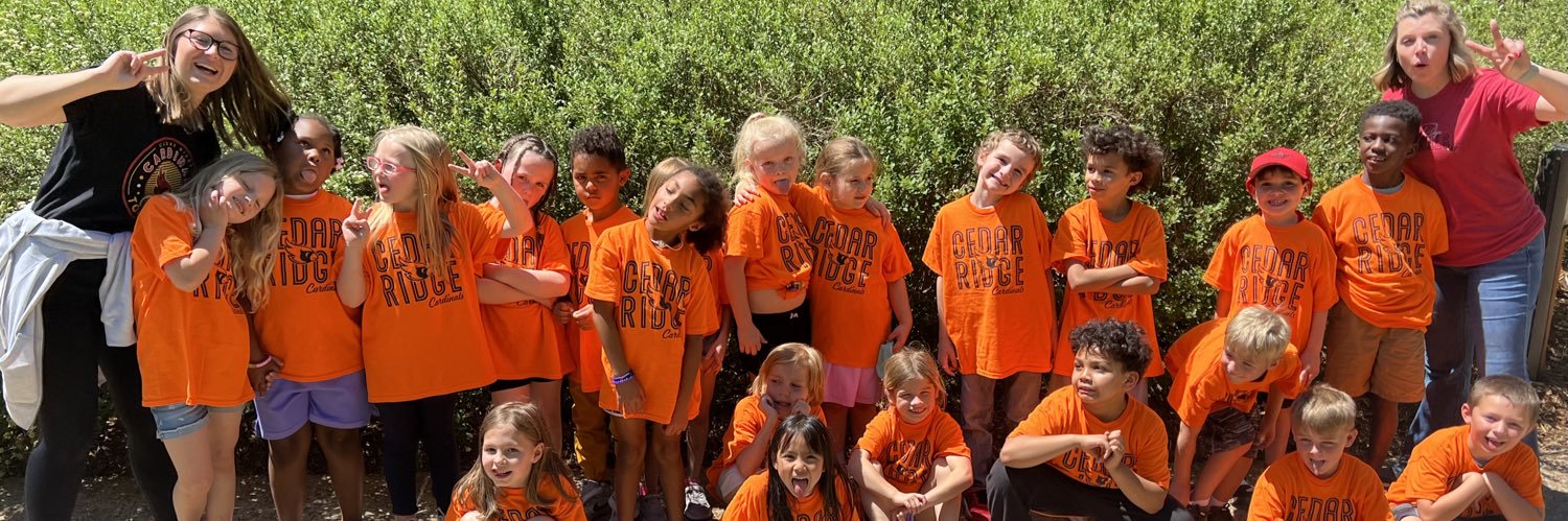 Rachel Burlison banner