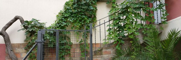 MontForcadaCot Profile Banner
