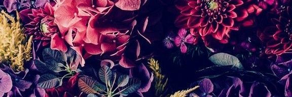 loreml94's profile banner image