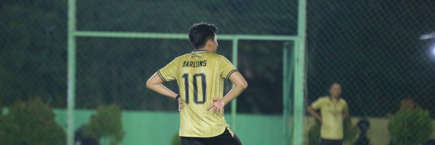 BarliinS's profile banner image